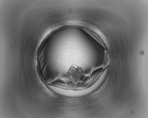 X0000096161376200802011246