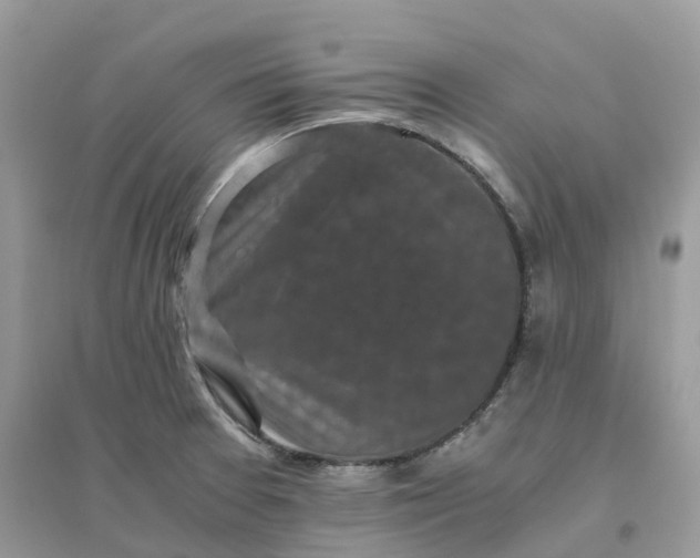 X0000096161377200802011245