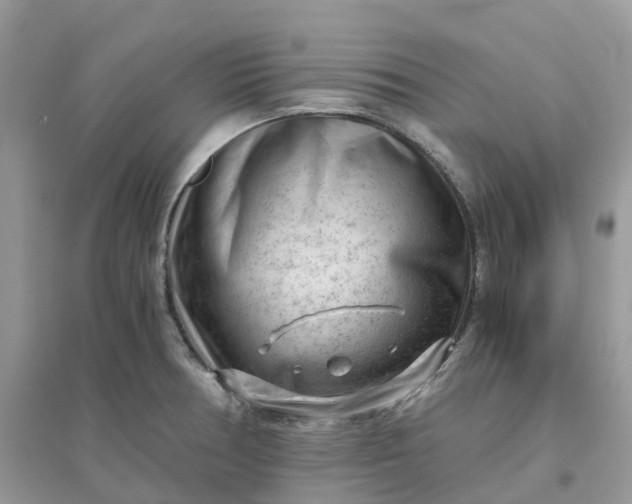 X0000096161378200802011245