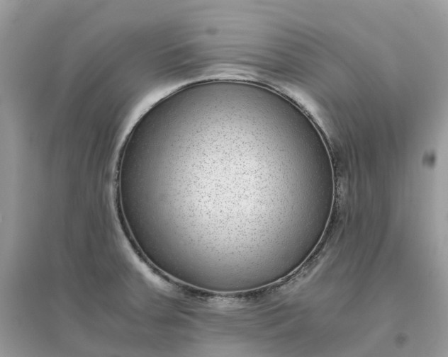 X0000096161379200802011245