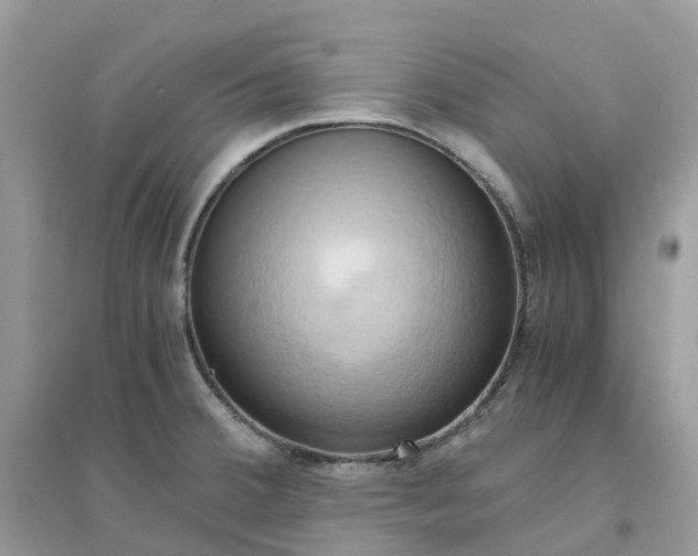 X0000096161380200802011245