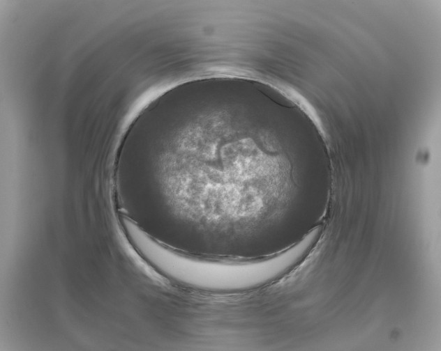 X0000096161381200802011245