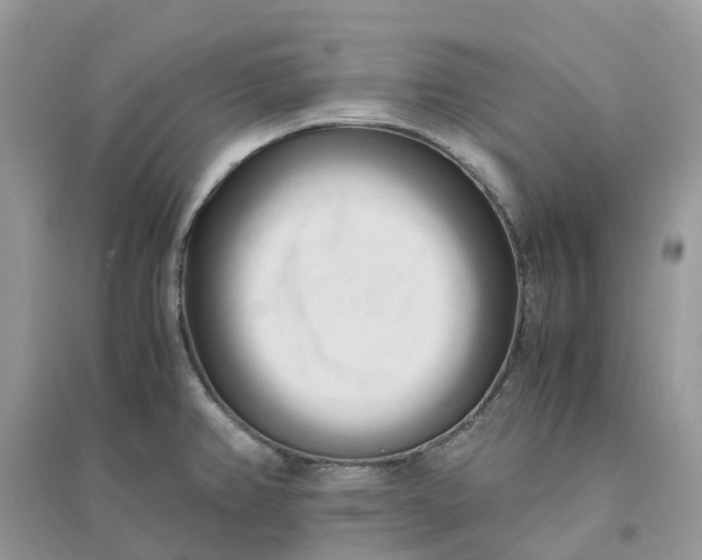 X0000096161382200802011245