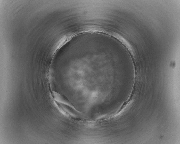 X0000096161385200802011245