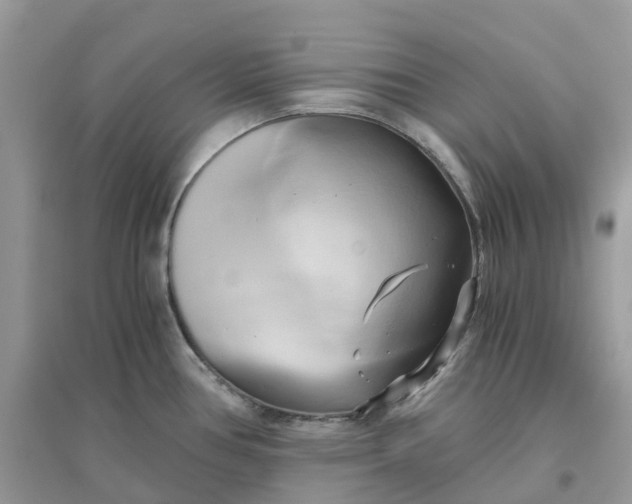 X0000096161386200802011245