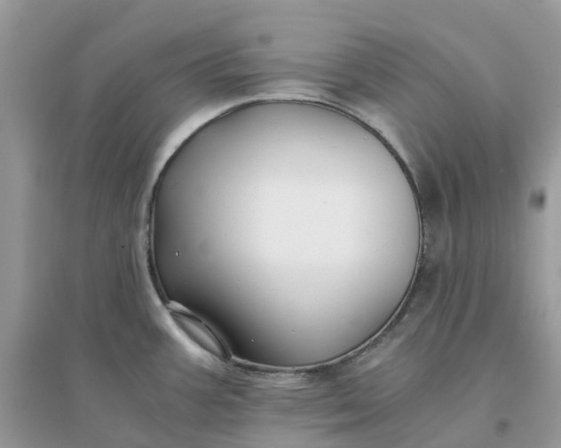 X0000096161387200802011245