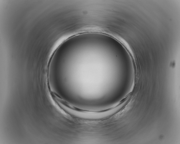 X0000096161389200802011245