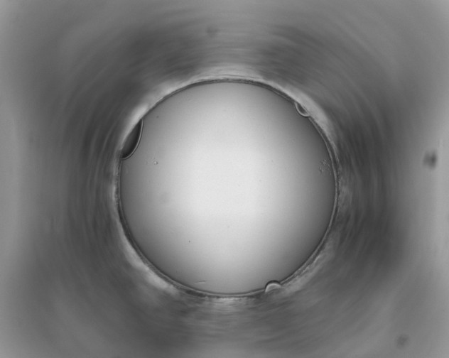 X0000096161390200802011245