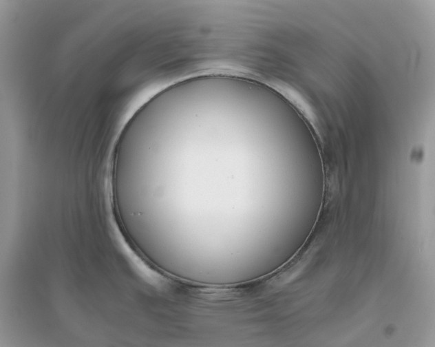 X0000096161391200802011245