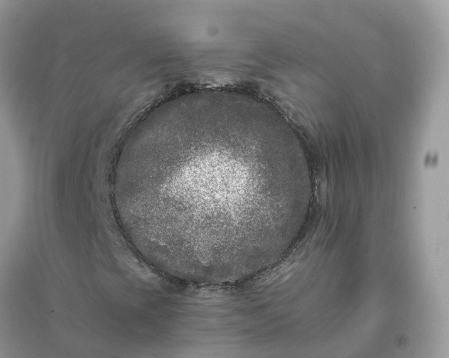 X0000096161393200802011245