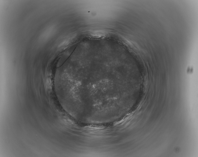 X0000096161394200802011245