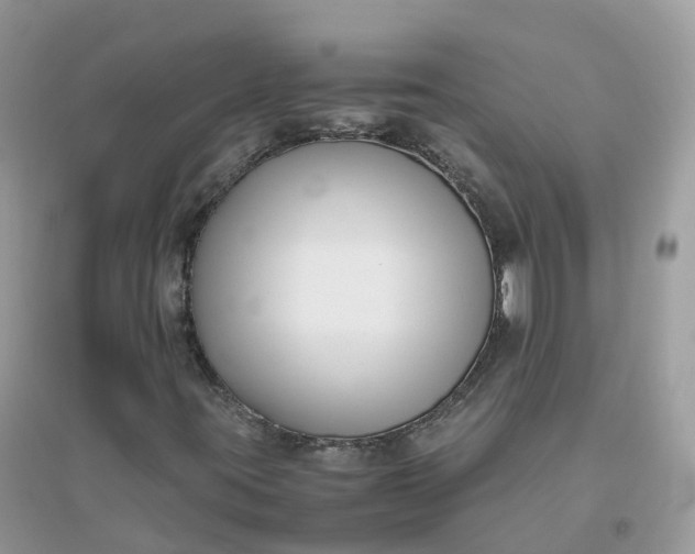 X0000096161395200802011245