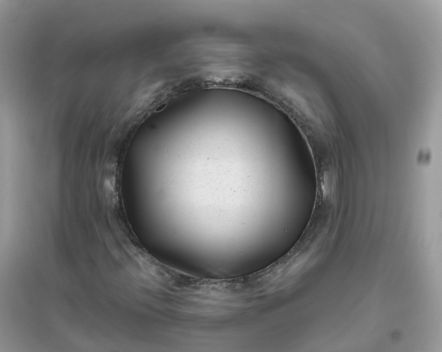 X0000096161396200802011245