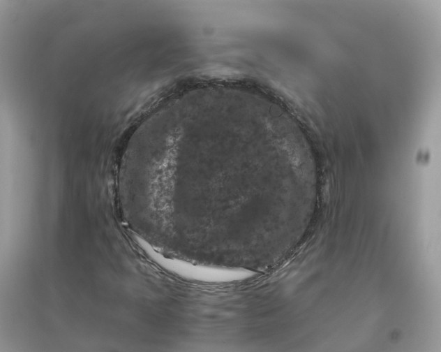 X0000096161397200802011245