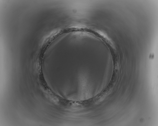 X0000096161398200802011245