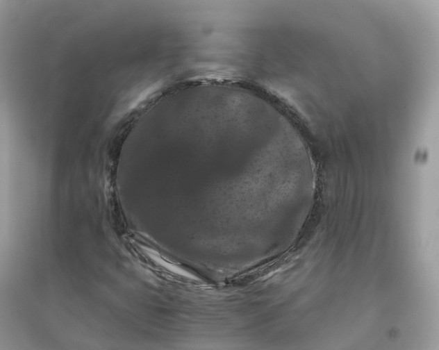 X0000096161399200802011245