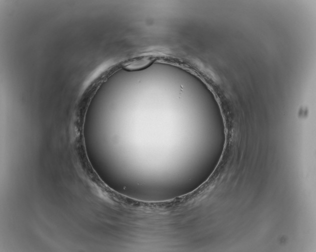 X0000096161400200802011245