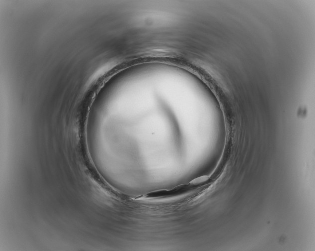 X0000096161402200802011245