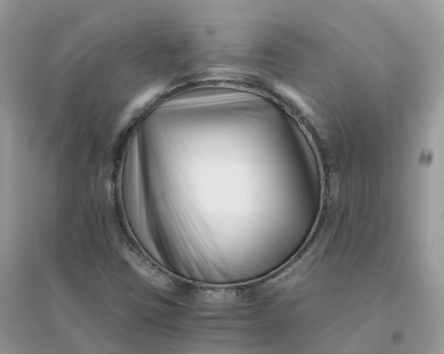 X0000096161403200802011245