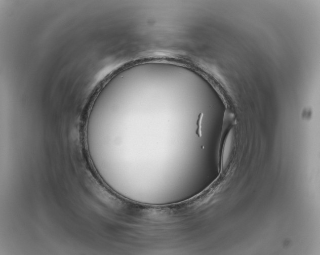 X0000096161404200802011245