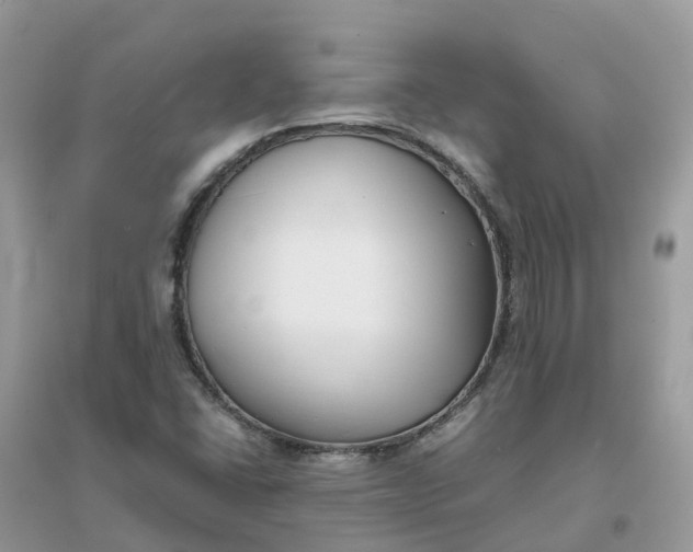 X0000096161406200802011245