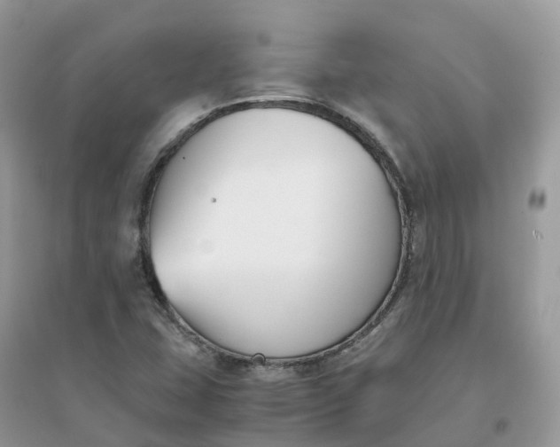 X0000096161407200802011245