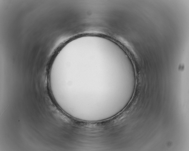 X0000096161408200802011245