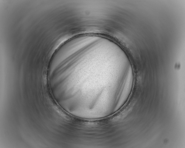 X0000096161409200802011245