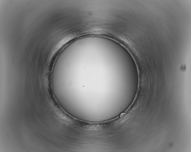 X0000096161410200802011245