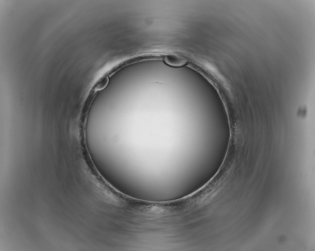 X0000096161412200802011245