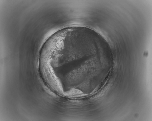 X0000096161413200802011245