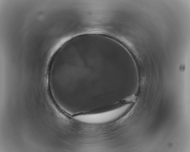 X0000096161414200802011245