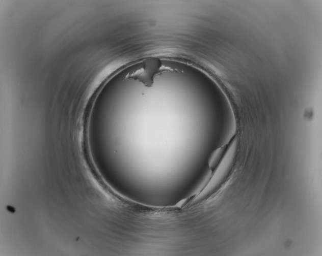 X0000096161418200802011245