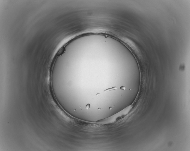 X0000096161420200802011245