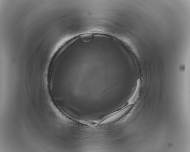 X0000096161422200802011245