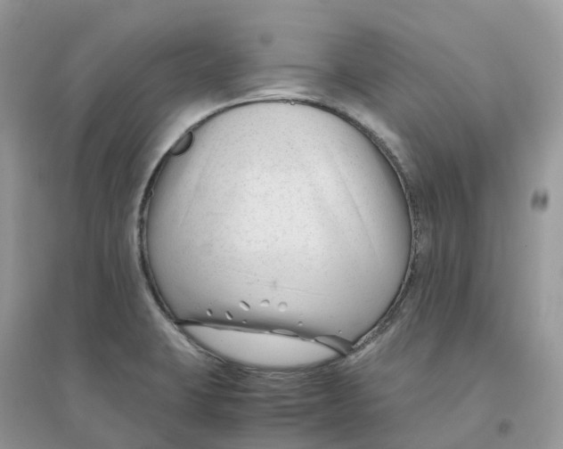 X0000096161423200802011245