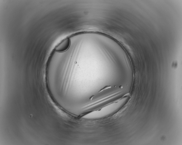 X0000096161424200802011245