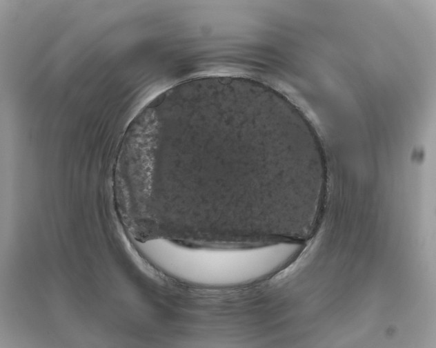 X0000096161425200802011245