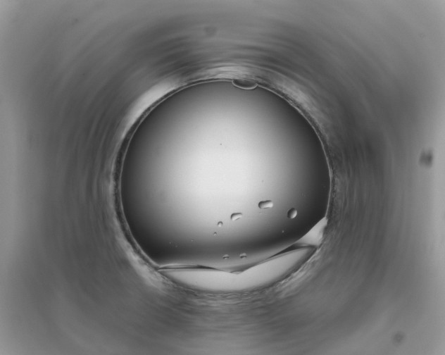 X0000096161426200802011245