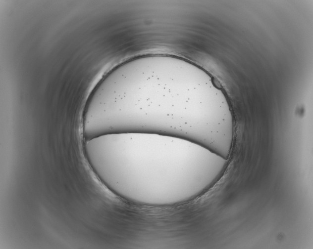 X0000096161428200802011245