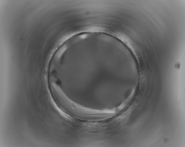 X0000096161429200802011245