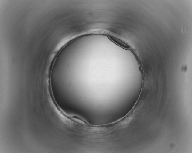 X0000096161430200802011245