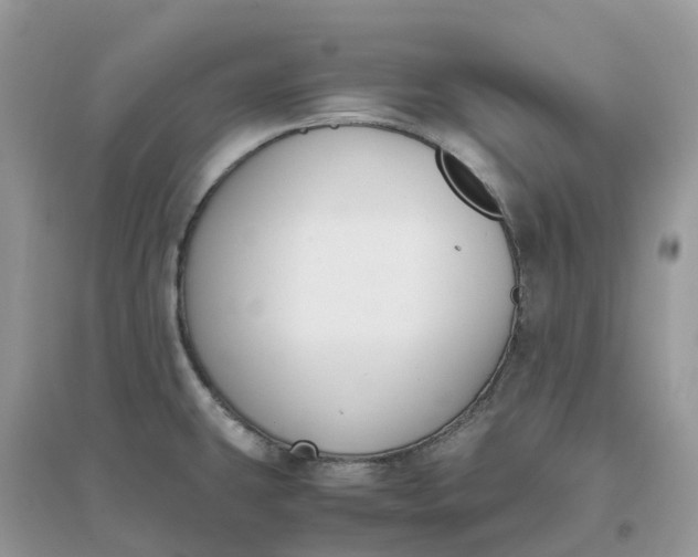 X0000096161431200802011245