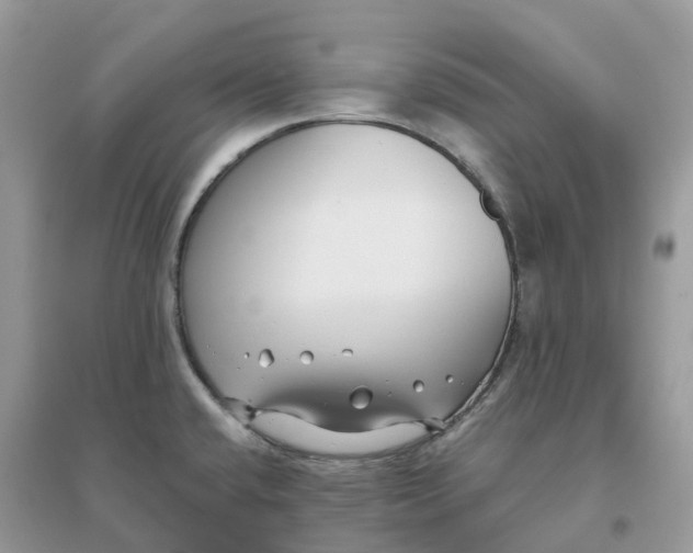 X0000096161432200802011245