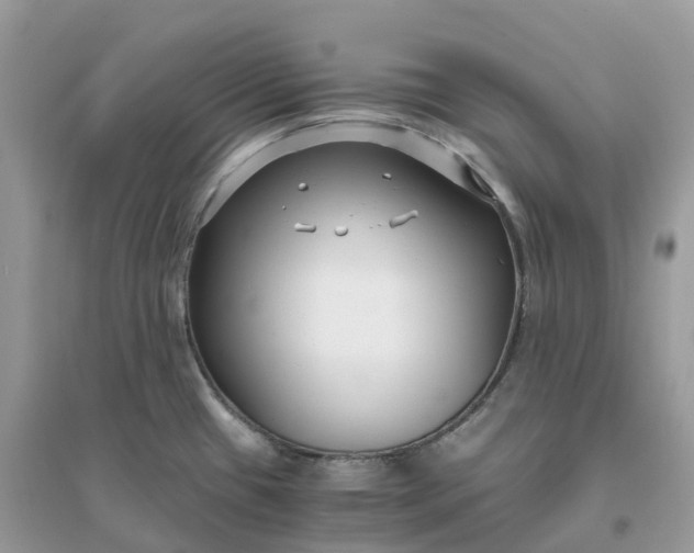 X0000096161433200802011245