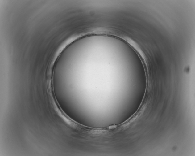 X0000096161437200802011245