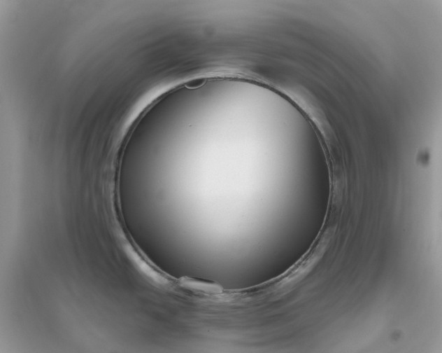 X0000096161438200802011245