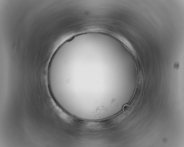 X0000096161439200802011245