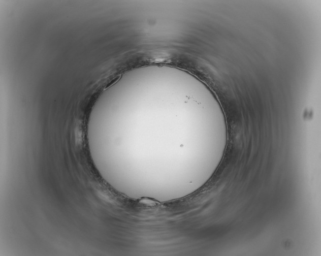 X0000096161442200802011245