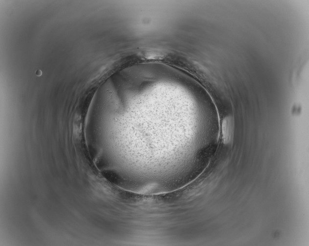 X0000096161443200802011245